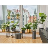 Gardena Set za odmor za navodnjavanje uključujući spremnik za vodu #####Set Urlaubsbewässerung 13366-20 | Eponuda.ba