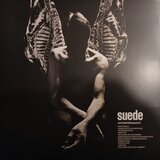  Suede - Antidepressants (LP) | Eponuda.com