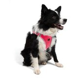Paws & Whiskers Am za pse Air Mesh Neo Pink XL | Eponuda.com