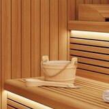  Vedro za savno 2 pcs Rjava Stabilen borov les in konoplja, (5000111274) | Shoptok.si