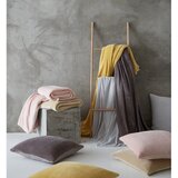 Catherine Lansfield Svetlo siva odeja iz mikropliša 130x170 cm Raschel Velvet – | Shoptok.si