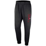 Nike muški donji deo trenerke Chi mnk club jggr cts FV3373-010 | ePonuda.com