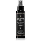 Hair Growth Volume Spray sprej za poticanje rasta kose 120 ml