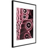  Poster - Butterfly Wings 40x60 Cijene