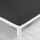 Douceur d intérieur Črna napenjalna bombažna rjuha 180x200 cm Lina – Cene