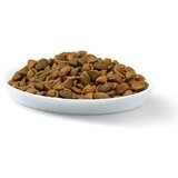Whiskas Briketi Junior Piletina – 0,5 kg – Rinfuz Cene
