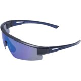  Muške sunčane naočale Daniel Klein DK3218.C2 | shoptok.hr