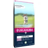 Grain Free Puppy Large Breed jagnjetina - 12 kg