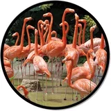 Zidni ukras Flamingo