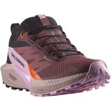 Salomon muške patike Sense Ride 5 Gtx | ePonuda.com