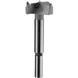 Bosch Karbidne burgije za usecanje šarki u drvetu 2608597610 Cene