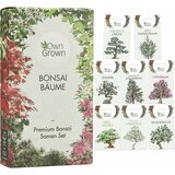 Own Grown Bonsaj drevesa 8 vrst semen Cene