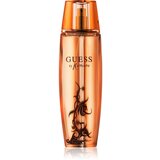 Guess by Marciano parfumska voda za ženske 100 ml Cene