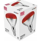 SIJALICA E27 INFRA RED RUBIN 100W R95