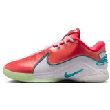 Nike Lebron xxii xmas | ePonuda.com