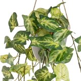 Casa Selección Umetne rastline v kompletu 2 ks (višina 55 cm) – | Shoptok.si