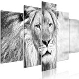  Slika - The King of Beasts (5 Parts) Wide Black and White 100x50 Cijene