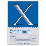 x - Xeranthemum - Perpetuum Major - 1 pkt. | Shoptok.si