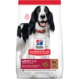 Hill’s Science Plan Adult 1-6 Medium s janjetinom i rižom - 2 x 14 kg | shoptok.hr