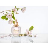 M.Micallef Ananda parfemska voda 100 ml za žene | shoptok.hr