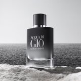 Armani Muški parfem Acqua Di Gio Pour Homme Parfum 50ml | ePonuda.com