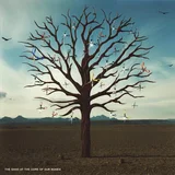 Biffy Clyro Opposites (2 LP)