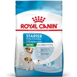 Royal Canin Mini Starter Mother/Babydog 8 kg Cene