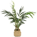 MID.YOU Umetna Rastlina Chamaedorea | Shoptok.si