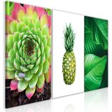  Slika - Treasures of the Tropics (3 Parts) 120x60 Cijene