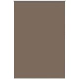 vidaXL Roleta zatemnjena kava 165x210 cm Širina tkanine 161,6 cm, (22058424) | Shoptok.si