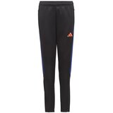 Adidas Spodnji deli trenirke Tiro23 pisana | Shoptok.si