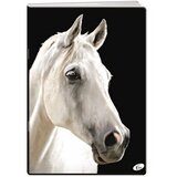 Elisa zvezek Živali, a4, 1 cm karo E-064895 | Shoptok.si