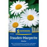 KIEPENKERL Bele marjetice - 1 pkt. Cene
