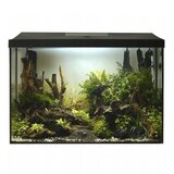 Aquael LED akvarijski set Leddy XL 40 Day&Night, črn - 36 l / 41 x 25 x 35 cm | Shoptok.si