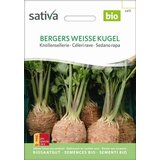 Sativa Gomoljna zelena, Bergers Weisse Kugel | Shoptok.si