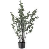 Bloomingville Umetni evkaliptus (višina 117 cm) – Cene