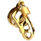 Mr. Steel Brutal Chastity Cage Gold Gold | Shoptok.si