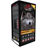 Alpha Spirit Semi-Moist Complete Free Range perutnina - Varčno pakiranje: 2 x 9 kg | Shoptok.si