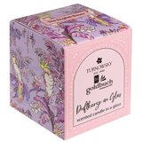 Goldbuch mirisna svijeća Turnowsky Insignia, aroma English Roses Slike