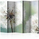 Artgeist PARAVAN 225/172/3 cm bela, žajbljevo zelena | Shoptok.si