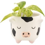 Sass & Belle Keramičen okrasni cvetlični lonec ø 7,5 cm Cow – | Shoptok.si