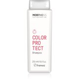 Framesi Morphosis Color Protect šampon za normalne in tanke lase za zaščito barve 250 ml | Shoptok.si