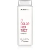 Morphosis Color Protect šampon za normalne in tanke lase za zaščito barve 250 ml