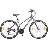  BICIKL POLAR ATHENA Rigid anthracite L M | Eponuda.com