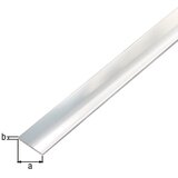 Oneforall profil plosnati 15x2/2m | shoptok.hr