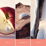 Hugo Boss bOSS Alive parfemska voda 80 ml za žene | shoptok.hr