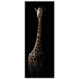 Styler Slika Glas Animals Gira, 50 x 125 cm Cene
