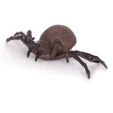  Pauk | Eponuda.com