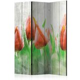  Paravan u 3 dijela - Red tulips on wood [Room Dividers] 135x172 Cijene