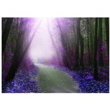  Samoljepljiva foto tapeta - Purple path 196x140 | shoptok.hr